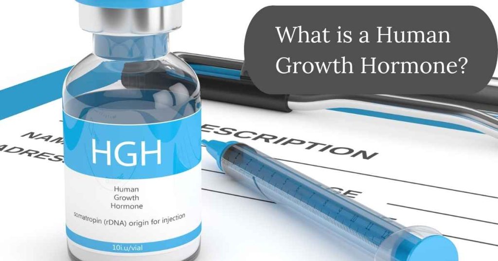 What is a Human Growth Hormone